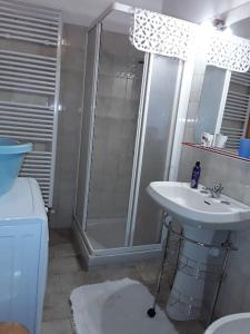ein Bad mit einer Dusche und einem Waschbecken in der Unterkunft Tana della volpe 1 in Gressan