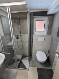 a bathroom with a shower and a toilet and a sink at Ferienhaus Fatlar in Kappl