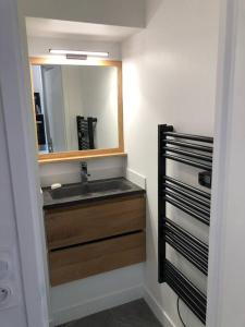a bathroom with a sink and a mirror at Appartement cosy à Boyardville in Boyard-Ville