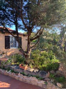 A garden outside Casa MìMì