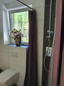 a bathroom with a shower with a window and a toilet at Kleines Domizil am Südhang in Ortenberg