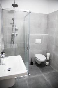 a bathroom with a shower and a toilet and a sink at Moderní apartmán uprostřed šumavské přírody in Zdíkovec +16 photos