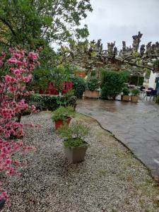 a garden with pink flowers and plants in pots at L'Auberge de Lugos in Lugos