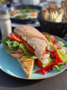 ソポトにあるYacht Club Residence Sopotのサンドイッチとサラダを青皿に盛り付け