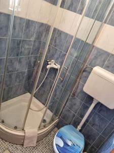 コストレナにあるLori Apartmentのバスルーム(シャワー、トイレ、洗面台付)