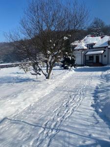 Casa Ina Rasnov في ريسنوف: طريق مغطى بالثلج وبه شجرة ومنزل