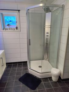 a bathroom with a shower and a toilet and a window at Apartament Sandstrand 