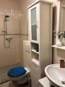 Un baño con inodoro, ducha y lavabo. en Haus Wilma Grüne Idylle im Wald direkt am See, en Wendisch Rietz