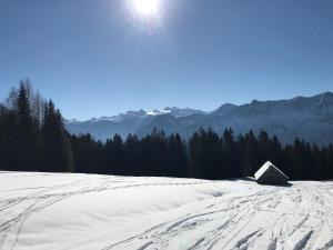 Kaiserblick Goisern v zimě
