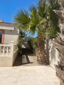 un palmier devant une maison dans l'établissement Maison avec piscine privée, au Grau-du-Roi
