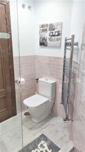 a bathroom with a toilet and a glass shower at Apartamento en Navacerrada in Navacerrada