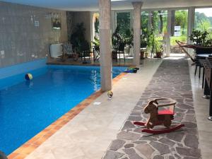 a pool with a dog on a float next to it at Seeblick eins im Waldschlößchen in Wendisch Rietz