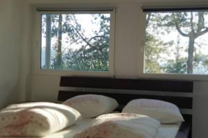 a bedroom with two windows and a bed with pillows at Haus am Hang, Garden Dream in Westerburg