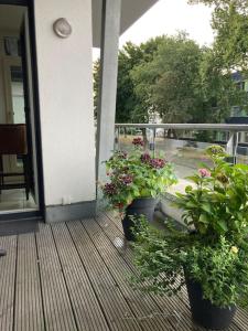deux plantes en pot assises sur une terrasse couverte avec un balcon dans l'établissement Ferienwohnung in der Nähe von Köln, à Frechen