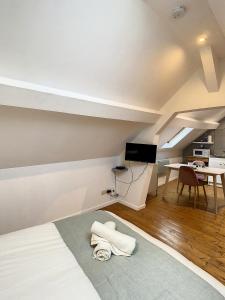 Telewizja i/lub zestaw kina domowego w obiekcie Magnifique studio centre ville Saint Leu 2 pers