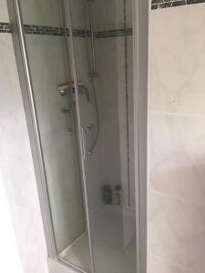 a bathroom with a shower with a glass door at Penthouse Bernd im Waldschlösschen direkt am See in Wendisch Rietz