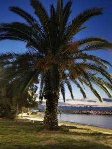 Fotografia z galérie ubytovania Bel appartement 6 personnes - Proche toutes commodités v destinácii Toulon