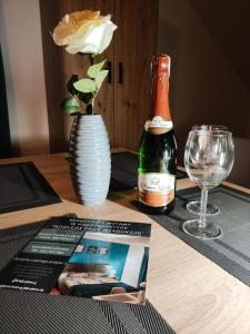 Noclegi przy Wiadukcie - Apartamenty的酒水