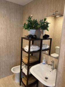 ein Badezimmer mit einem Regal mit einem Waschbecken und einem WC in der Unterkunft Green apartment in A Coruña