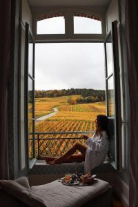 Hosté ubytování Chateau de Sacy