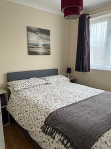 1 dormitorio con cama con edredón y ventana en Brambles chine en Freshwater