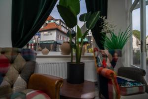 een kamer met stoelen en een raam met een plant bij Boutique Hotel in Bad Salzuflen