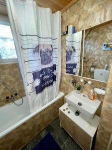 a bathroom with a sink and a shower curtain at Private Room in an old Farmhouse near Vaduz in Sevelen