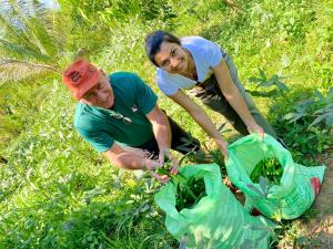 two people picking up plants from a bag in the grass at SAYON RIVER COTTAGE & ECO GARDEN in Monaragala