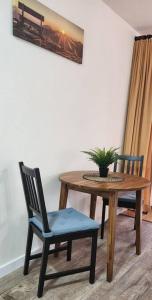 une table et une chaise avec une plante en pot dans l'établissement Retreat SoloHike, à Mörel