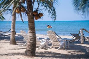 un grupo de sillas y palmeras en una playa en Quinta del Mar El Paraiso, en Tolú