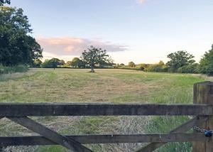 a wooden fence in a field with a tree at Goodiford Mill Lakes in Kentisbeare