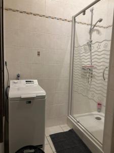 a bathroom with a shower and a sink and a toilet at Au fil des étoiles in Selles-sur-Cher