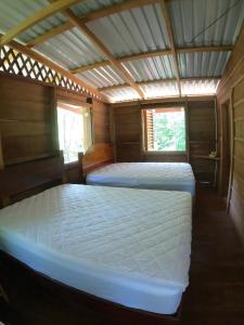 SierpeにあるFinca Encanto Eco Lodgeの窓が2つある木造の部屋にベッドが2つある