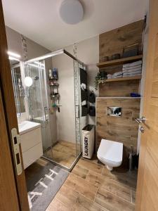 茲拉蒂博爾的住宿－M apartments Zlatibor，带淋浴、卫生间和盥洗盆的浴室