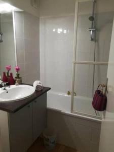 een badkamer met een wastafel, een douche en een bad bij Appartement avec piscine sur le Bassin d'Arcachon in Le Teich