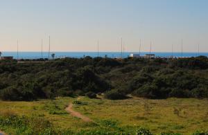 a dirt road in a field with trees at Stella Di Mare - ampio appartamento con DUE bagni - fronte mare in Lido di Ostia
