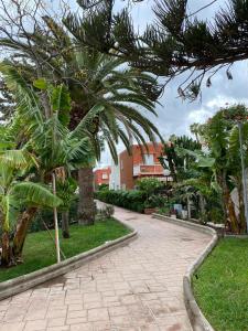 a walkway in a park with palm trees and a building at Casa Armonía del sol in San Bartolomé de Tirajana