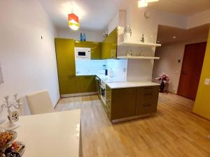 Kuchyň nebo kuchyňský kout v ubytování Kasekodu apartament