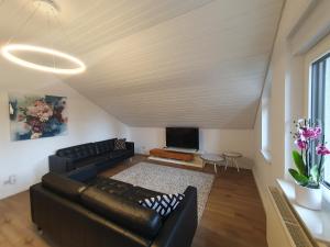 a living room with a leather couch and a tv at Blumen(t)raum Ferienwohnung 3 in Karlsruhe
