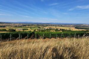 a view of a field from a hill with tall grass at Maison au calme avec terrasse, climatisé in Vertaizon