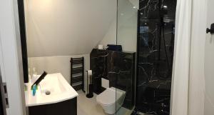 a bathroom with a shower and a toilet and a sink at Apartamenty przy zamku in Pasłęk