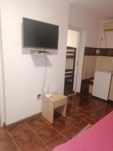 TV a/nebo společenská místnost v ubytování Apartmani Momčilović