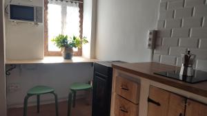 Virtuvė arba virtuvėlė apgyvendinimo įstaigoje El rinconin del Sueve