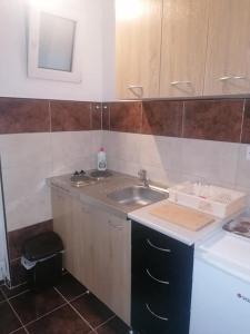 a small kitchen with a sink and a counter at Apartmani Momčilović in Čanj