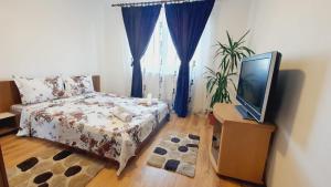 una camera con letto e TV a schermo piatto di Apartament Cosmin Orsova a Orşova