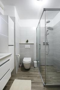 La salle de bains est pourvue de toilettes et d'une douche en verre. dans l'établissement Apartment Teodora, à Zadar