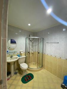 a bathroom with a shower and a toilet and a sink at ROMY'S PLACE - ENTIRE 3RD FLOOR APARTMENT in Vigan