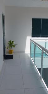 eine Treppe in einem Gebäude mit Topfpflanze in der Unterkunft Caribean's house in Arraial do Cabo