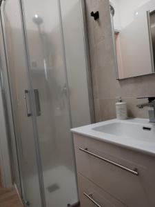 y baño con ducha y lavamanos. en Triremi house en Lido di Ostia