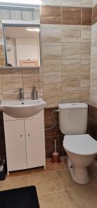 uma casa de banho com um WC, um lavatório e um espelho. em U Jirky em Bohuňovice